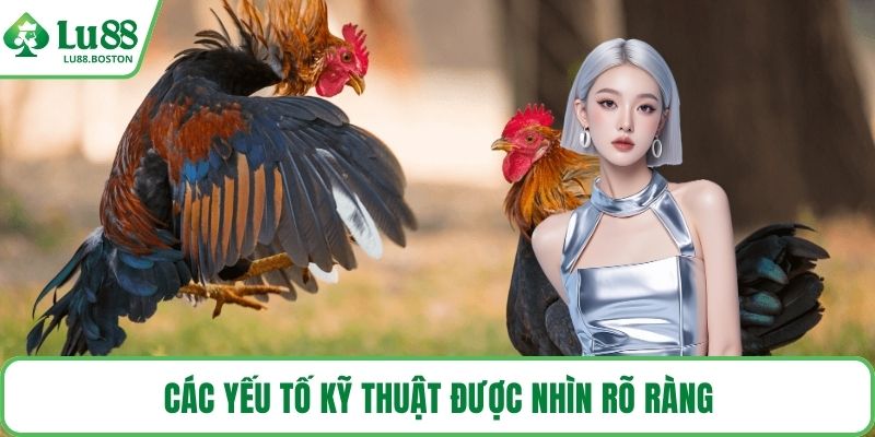 Các yếu tố kỹ thuật được nhìn rõ ràng