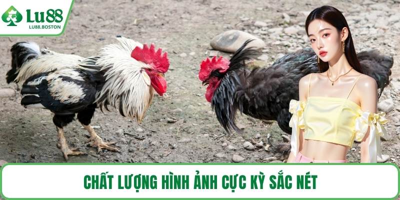 Chất lượng hình ảnh cực kỳ sắc nét