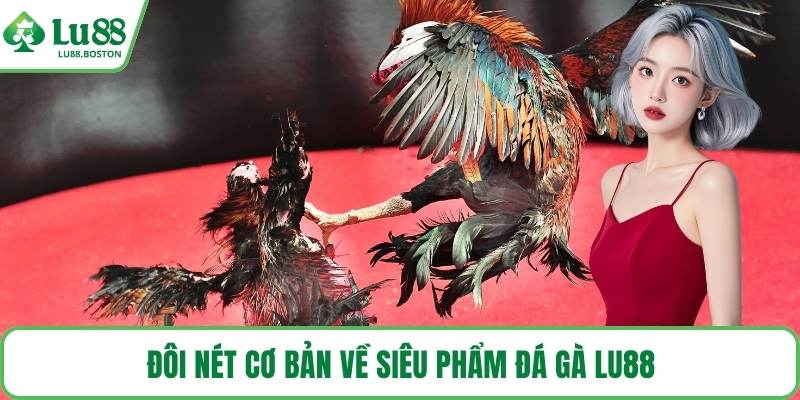 Đôi nét cơ bản về siêu phẩm đá gà LU88